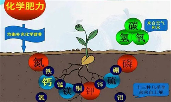 农作物生长所必需的营养元素